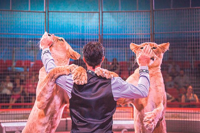 Dust up over circus visit – The Western Weekender