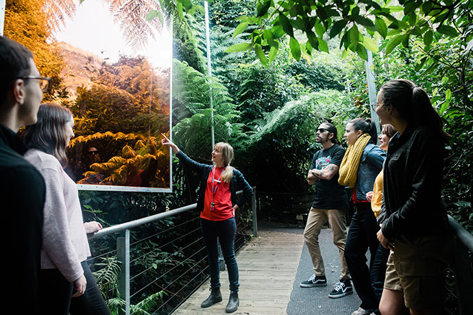 Scenic World delivers plenty of magic – The Western Weekender The ...