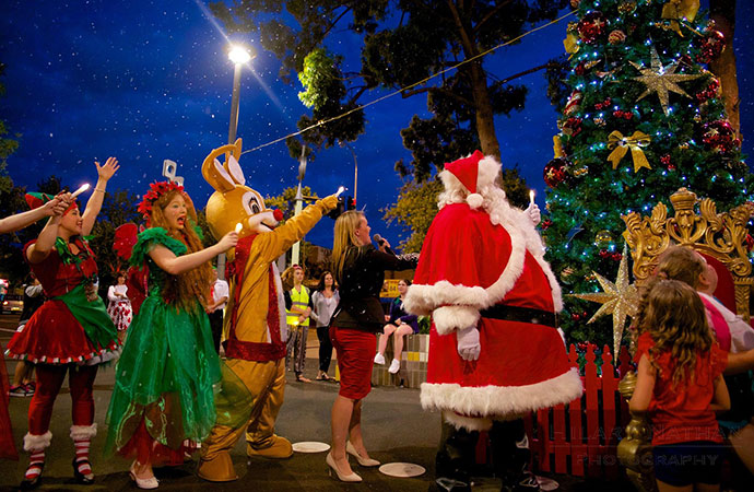 Lindsay MP Fiona Scott lights the Christmas tree last year