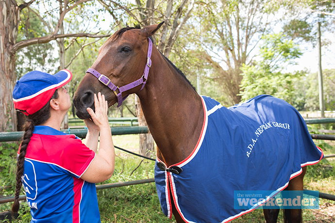 RDA Nepean coach, Helen Monday, with Sumatran Tiger, affectionately known as Tiger. Photo: Megan Dunn