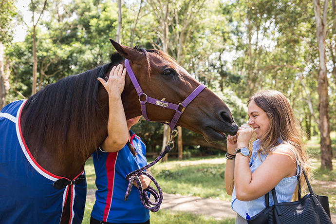 Weekender journalist Dale Drinkwater meets Tiger. Photo: Megan Dunn