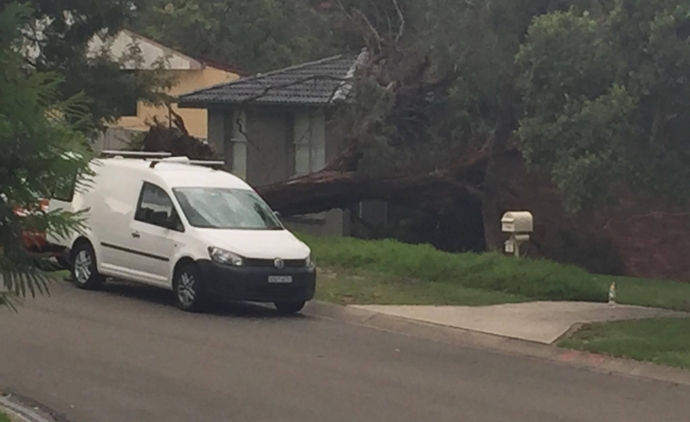 Trees have fallen onto a house at Robinson Road, Cranebrook